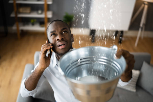 Best Local water damage restoration  in Upland, PA