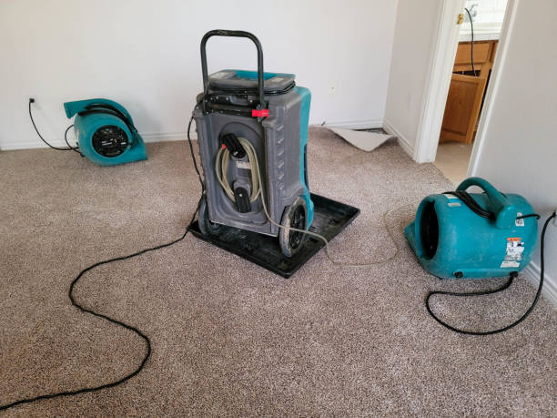 Water damage restoration experts in Upland, PA