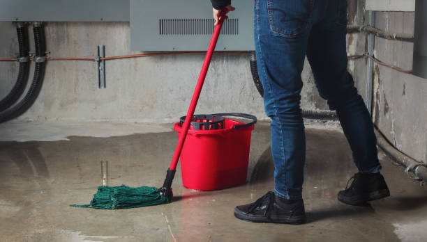 Best Flood damage cleanup  in Upland, PA