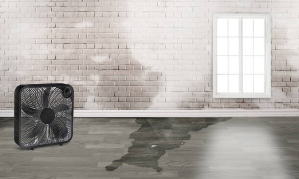 Best Emergency water damage restoration  in Upland, PA