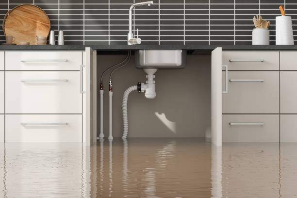 Reliable Upland, PA Water damage restoration Solutions