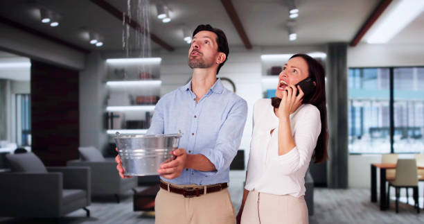 Best Flooded house restoration  in Upland, PA