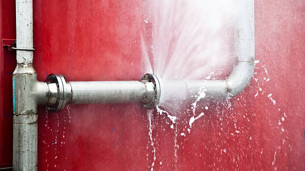 Best Local water damage restoration  in Upland, PA